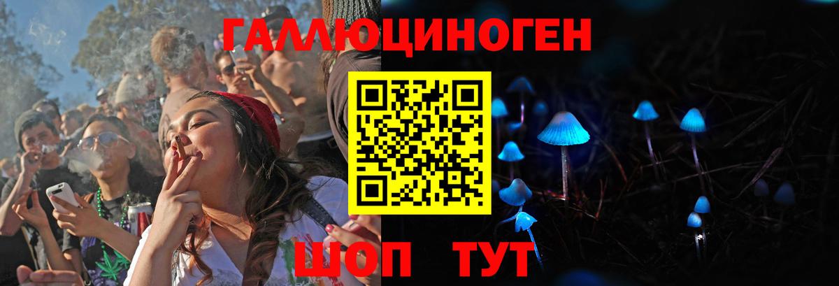 Майкоп  Галлюциногенные грибы Magic Shrooms  Вход с VPN 
